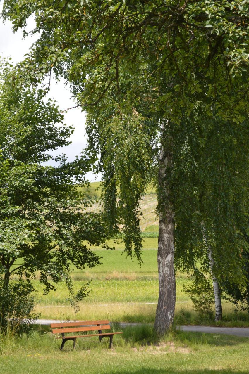 Fruehstueckspension Krump Bad Waltersdorf Exteriör bild